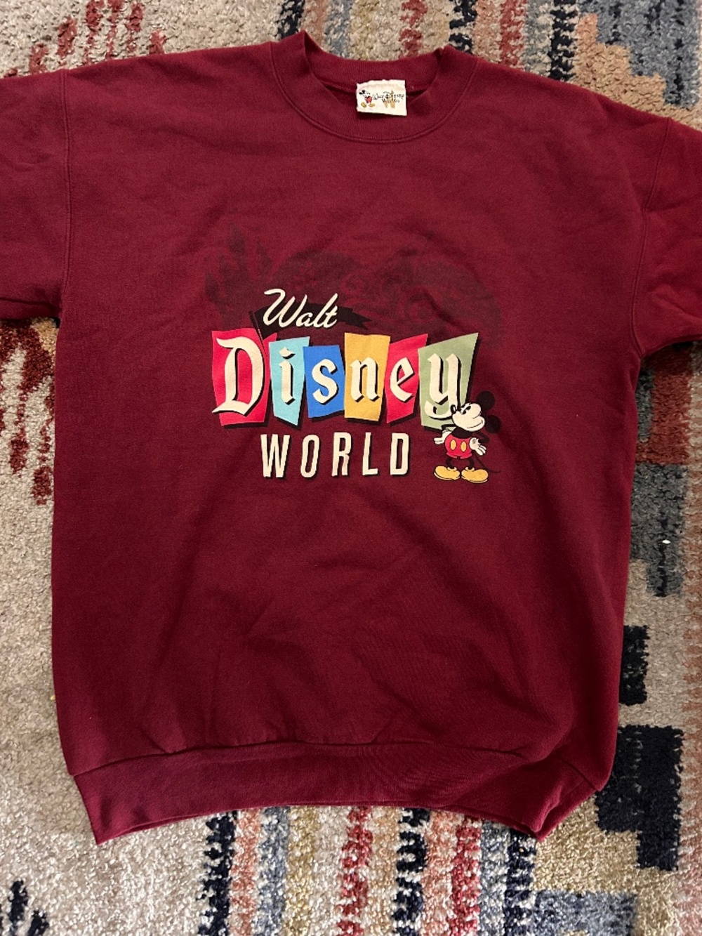 DisneyWorld Crewneck